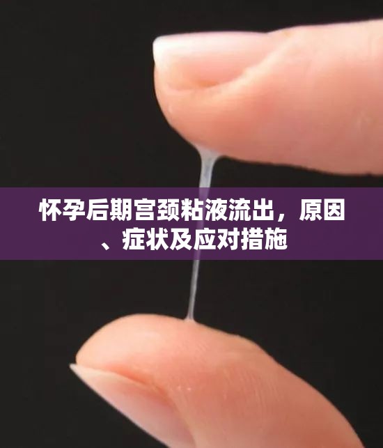 懷孕后期宮頸粘液流出，原因、癥狀及應(yīng)對(duì)措施
