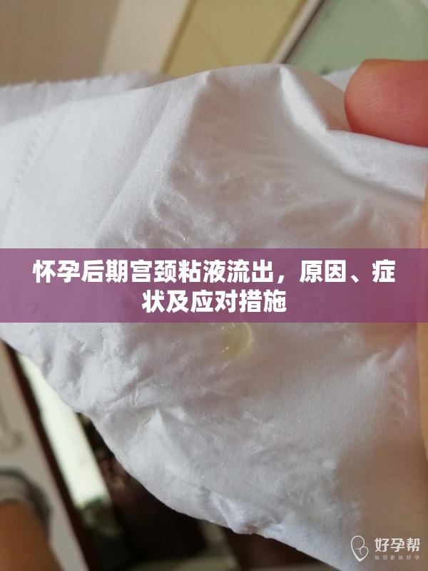 懷孕后期宮頸粘液流出，原因、癥狀及應(yīng)對(duì)措施