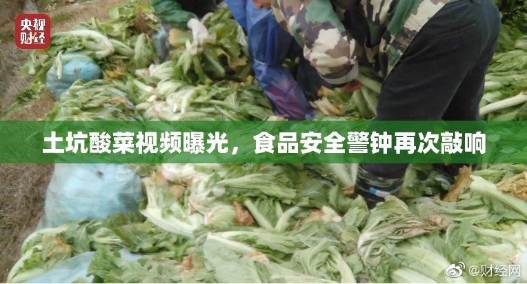 土坑酸菜視頻曝光，食品安全警鐘再次敲響