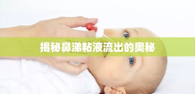 揭秘鼻涕粘液流出的奧秘
