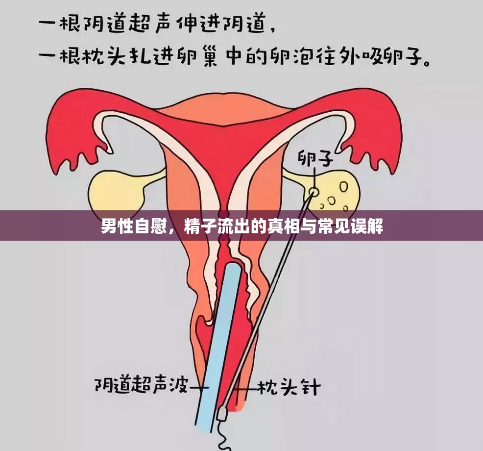 男性自慰，精子流出的真相與常見(jiàn)誤解