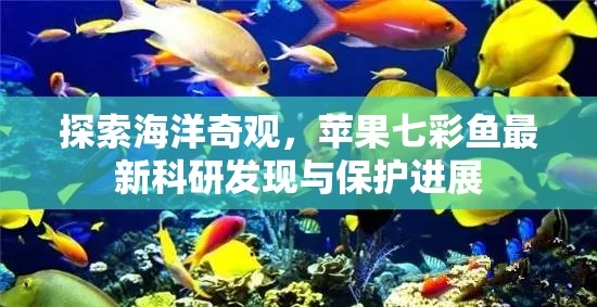 探索海洋奇觀，蘋果七彩魚最新科研發(fā)現(xiàn)與保護(hù)進(jìn)展