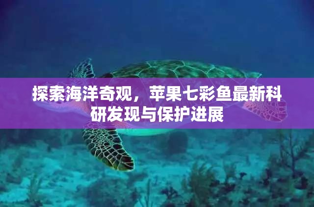 探索海洋奇觀，蘋果七彩魚最新科研發(fā)現(xiàn)與保護(hù)進(jìn)展