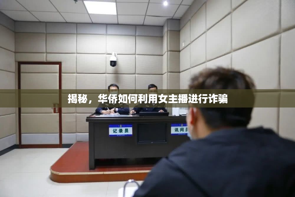 揭秘，華僑如何利用女主播進(jìn)行詐騙