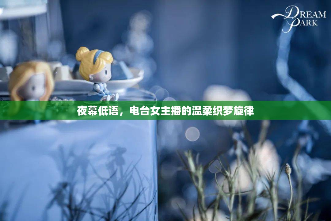 夜幕低語，電臺女主播的溫柔織夢旋律