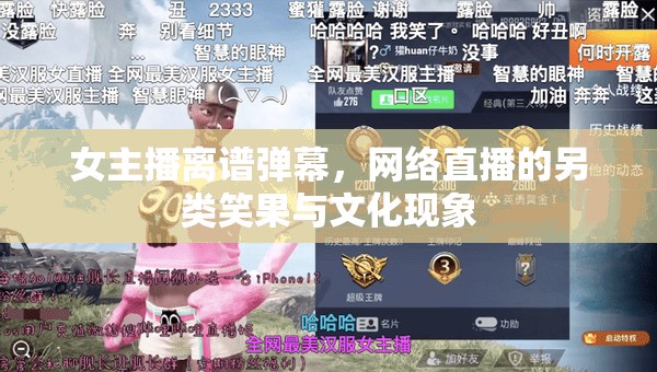 女主播離譜彈幕，網(wǎng)絡直播的另類笑果與文化現(xiàn)象