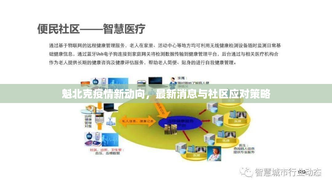 魁北克疫情新動(dòng)向，最新消息與社區(qū)應(yīng)對(duì)策略