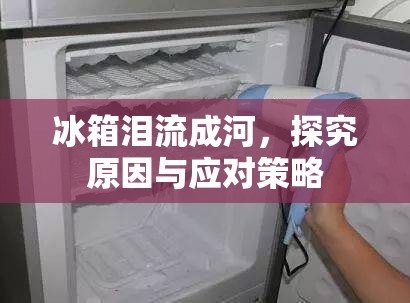 冰箱淚流成河，探究原因與應(yīng)對(duì)策略