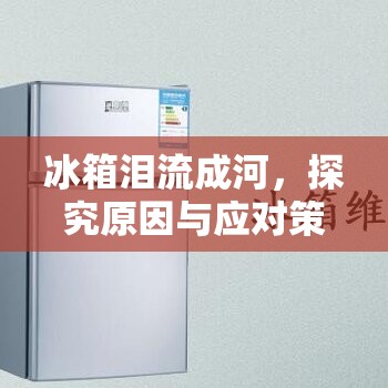 冰箱淚流成河，探究原因與應(yīng)對(duì)策略