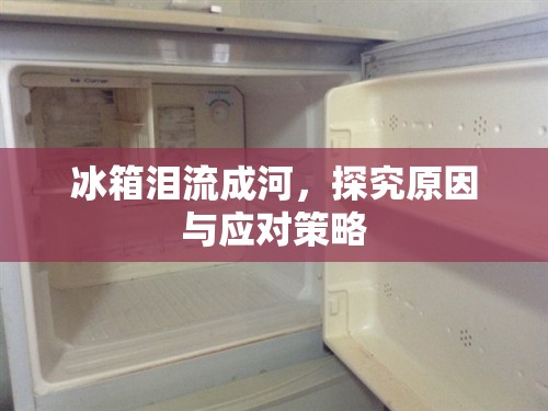 冰箱淚流成河，探究原因與應(yīng)對(duì)策略