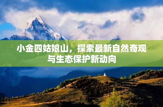 小金四姑娘山，探索最新自然奇觀與生態(tài)保護新動向