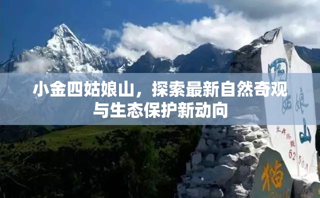 小金四姑娘山，探索最新自然奇觀與生態(tài)保護新動向