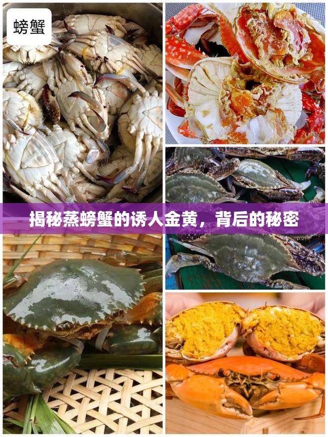 揭秘蒸螃蟹的誘人金黃，背后的秘密