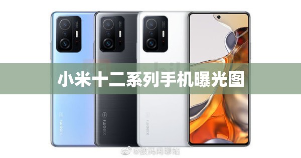 小米十二系列手機(jī)曝光圖