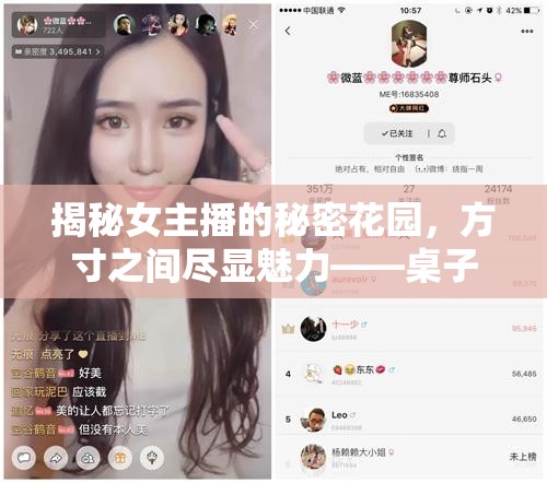 揭秘女主播的秘密花園，方寸之間盡顯魅力——桌子藝術(shù)與功能探秘