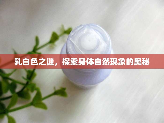 乳白色之謎，探索身體自然現(xiàn)象的奧秘