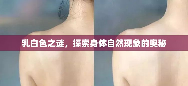 乳白色之謎，探索身體自然現(xiàn)象的奧秘