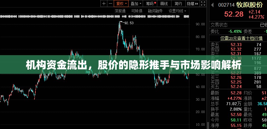 機構(gòu)資金流出，股價的隱形推手與市場影響解析