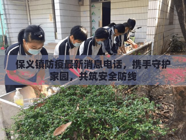 保義鎮(zhèn)防疫最新消息電話，攜手守護(hù)家園，共筑安全防線