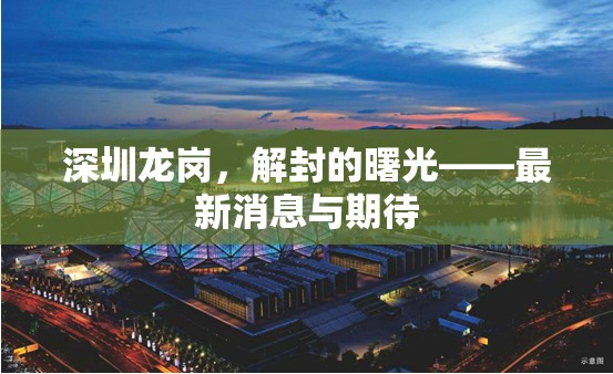 深圳龍崗，解封的曙光——最新消息與期待