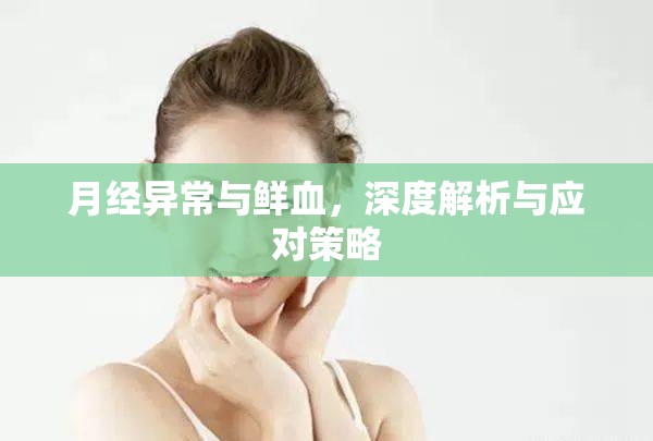 月經(jīng)異常與鮮血，深度解析與應(yīng)對(duì)策略