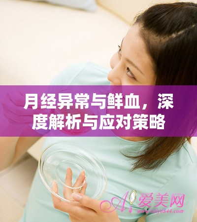 月經(jīng)異常與鮮血，深度解析與應(yīng)對(duì)策略