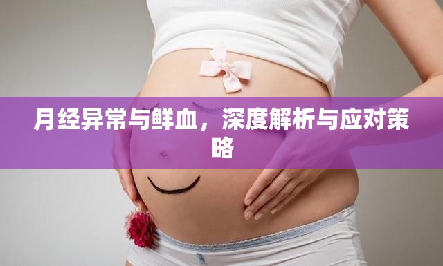 月經(jīng)異常與鮮血，深度解析與應(yīng)對(duì)策略