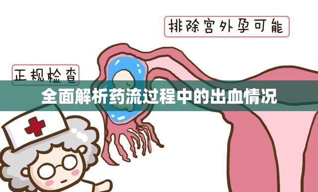 全面解析藥流過程中的出血情況