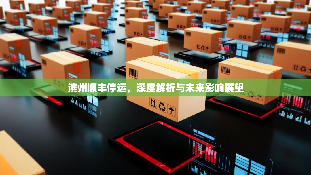 濱州順豐停運，深度解析與未來影響展望