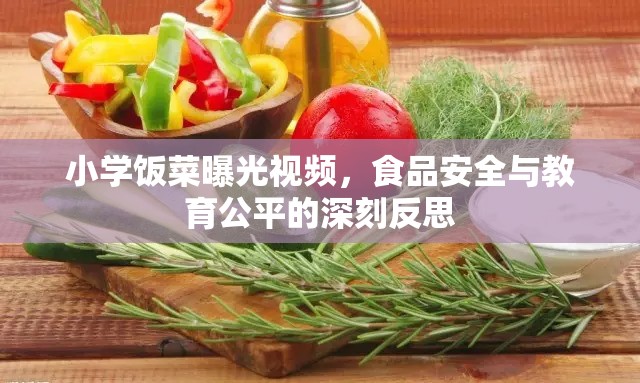 小學(xué)飯菜曝光視頻，食品安全與教育公平的深刻反思