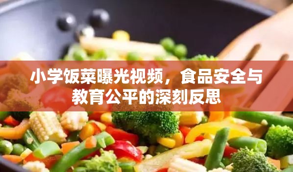 小學(xué)飯菜曝光視頻，食品安全與教育公平的深刻反思