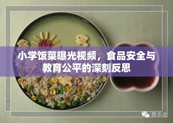 小學(xué)飯菜曝光視頻，食品安全與教育公平的深刻反思