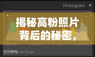 揭秘高粉照片背后的秘密，從曝光到成片的藝術(shù)之旅