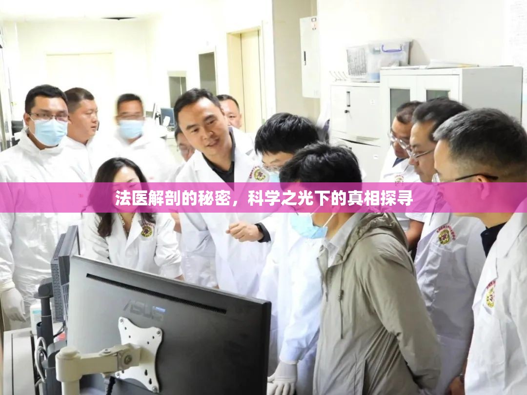 法醫(yī)解剖的秘密，科學(xué)之光下的真相探尋