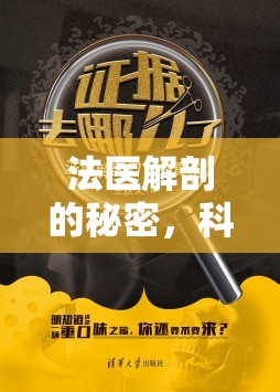法醫(yī)解剖的秘密，科學(xué)之光下的真相探尋