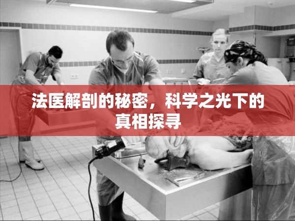 法醫(yī)解剖的秘密，科學(xué)之光下的真相探尋