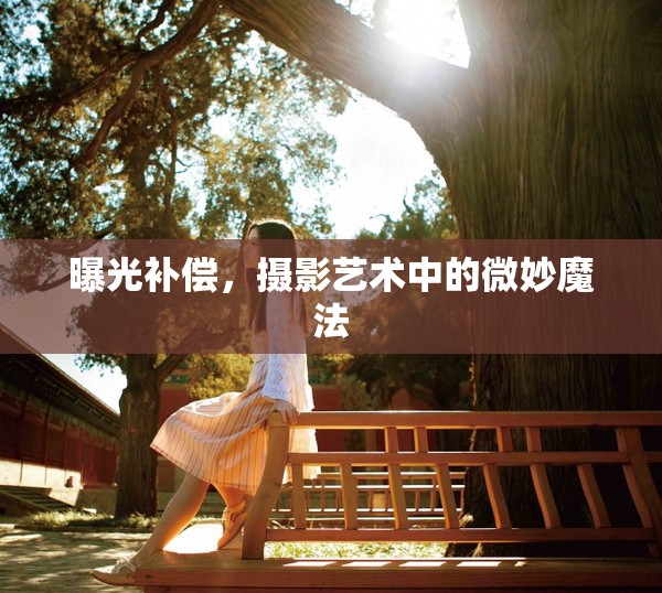 曝光補(bǔ)償，攝影藝術(shù)中的微妙魔法
