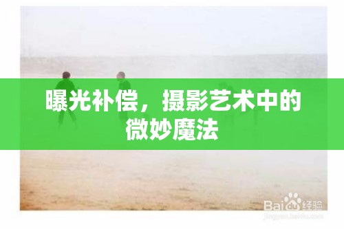 曝光補(bǔ)償，攝影藝術(shù)中的微妙魔法