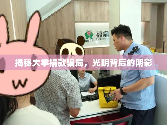揭秘大學(xué)捐款騙局，光明背后的陰影