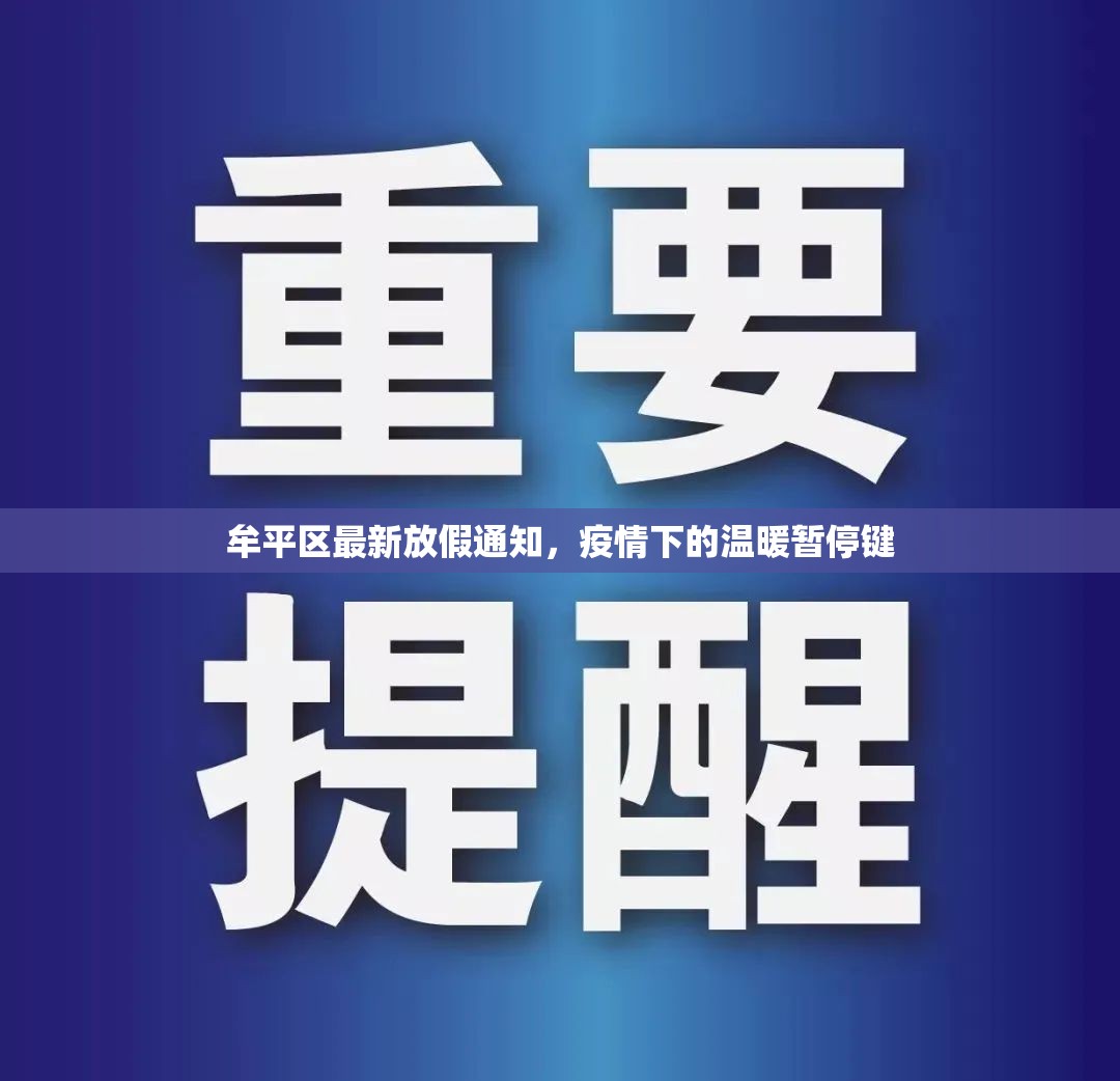 牟平區(qū)最新放假通知，疫情下的溫暖暫停鍵