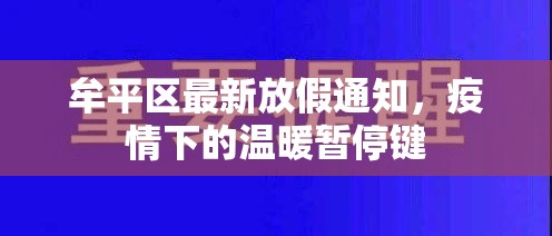 牟平區(qū)最新放假通知，疫情下的溫暖暫停鍵