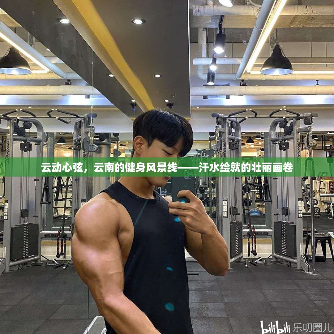 云動心弦，云南的健身風景線——汗水繪就的壯麗畫卷
