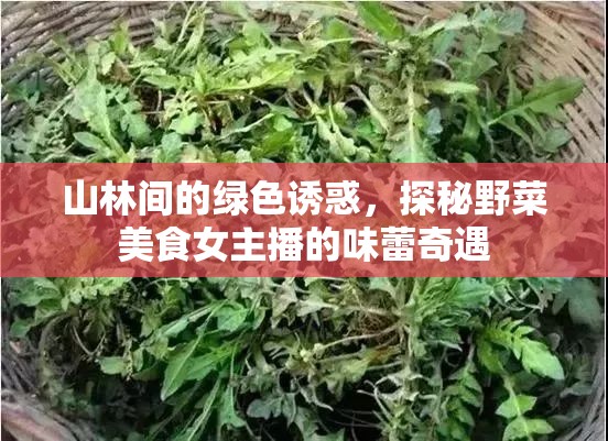 山林間的綠色誘惑，探秘野菜美食女主播的味蕾奇遇
