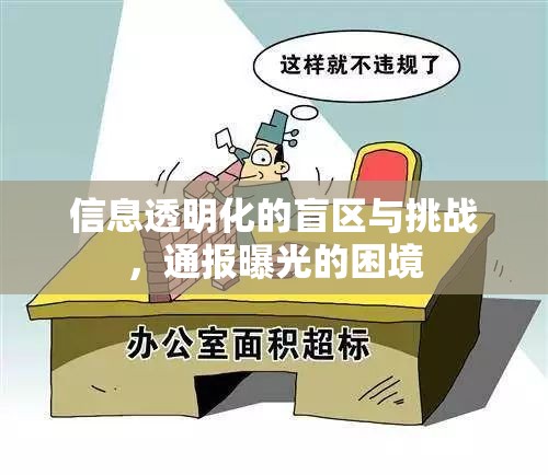 信息透明化的盲區(qū)與挑戰(zhàn)，通報(bào)曝光的困境