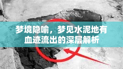 夢境隱喻，夢見水泥地有血跡流出的深層解析