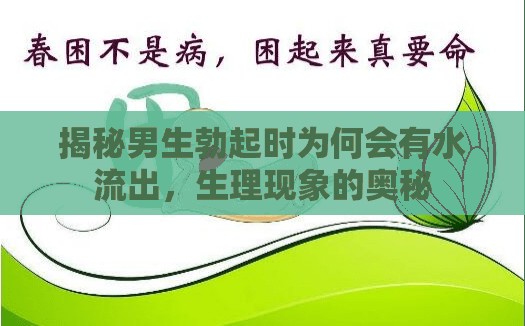 揭秘男生勃起時為何會有水流出，生理現(xiàn)象的奧秘
