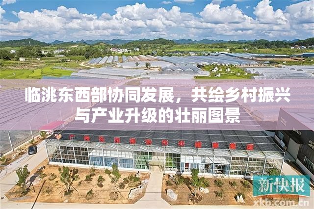 臨洮東西部協(xié)同發(fā)展，共繪鄉(xiāng)村振興與產(chǎn)業(yè)升級的壯麗圖景