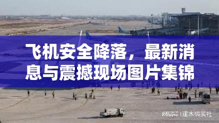 飛機(jī)安全降落，最新消息與震撼現(xiàn)場(chǎng)圖片集錦