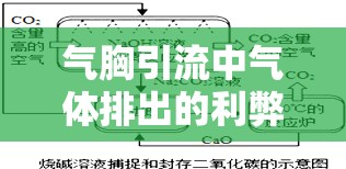 氣胸引流中氣體排出的利弊權(quán)衡與科學(xué)指導(dǎo)策略