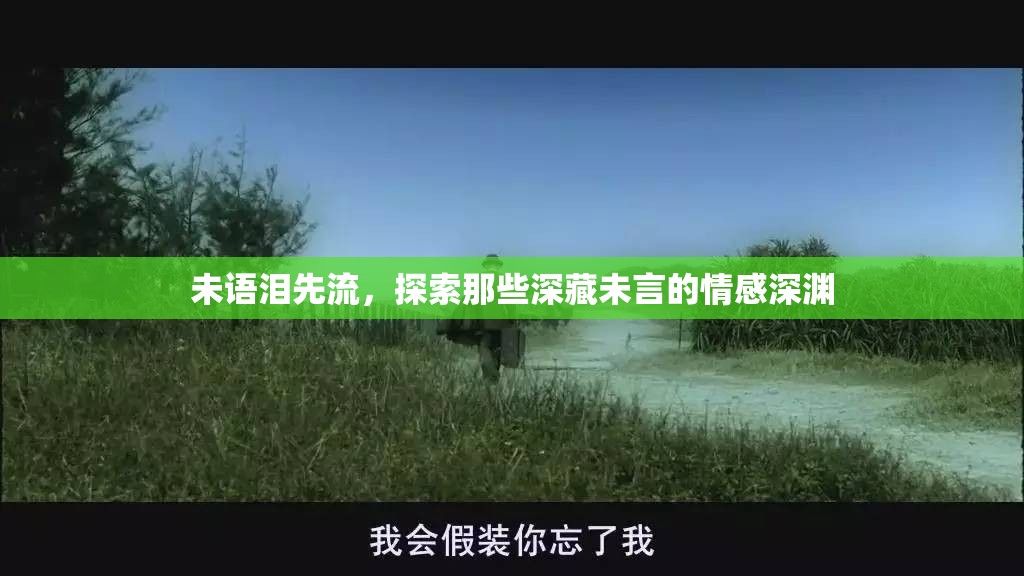 未語淚先流，探索那些深藏未言的情感深淵